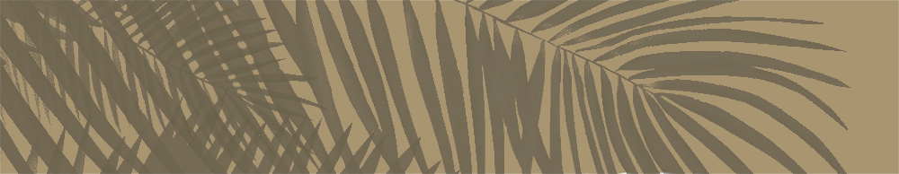 feuillesF5295621-9A76-C70C-34E9-4CB4D84FF57B.jpg